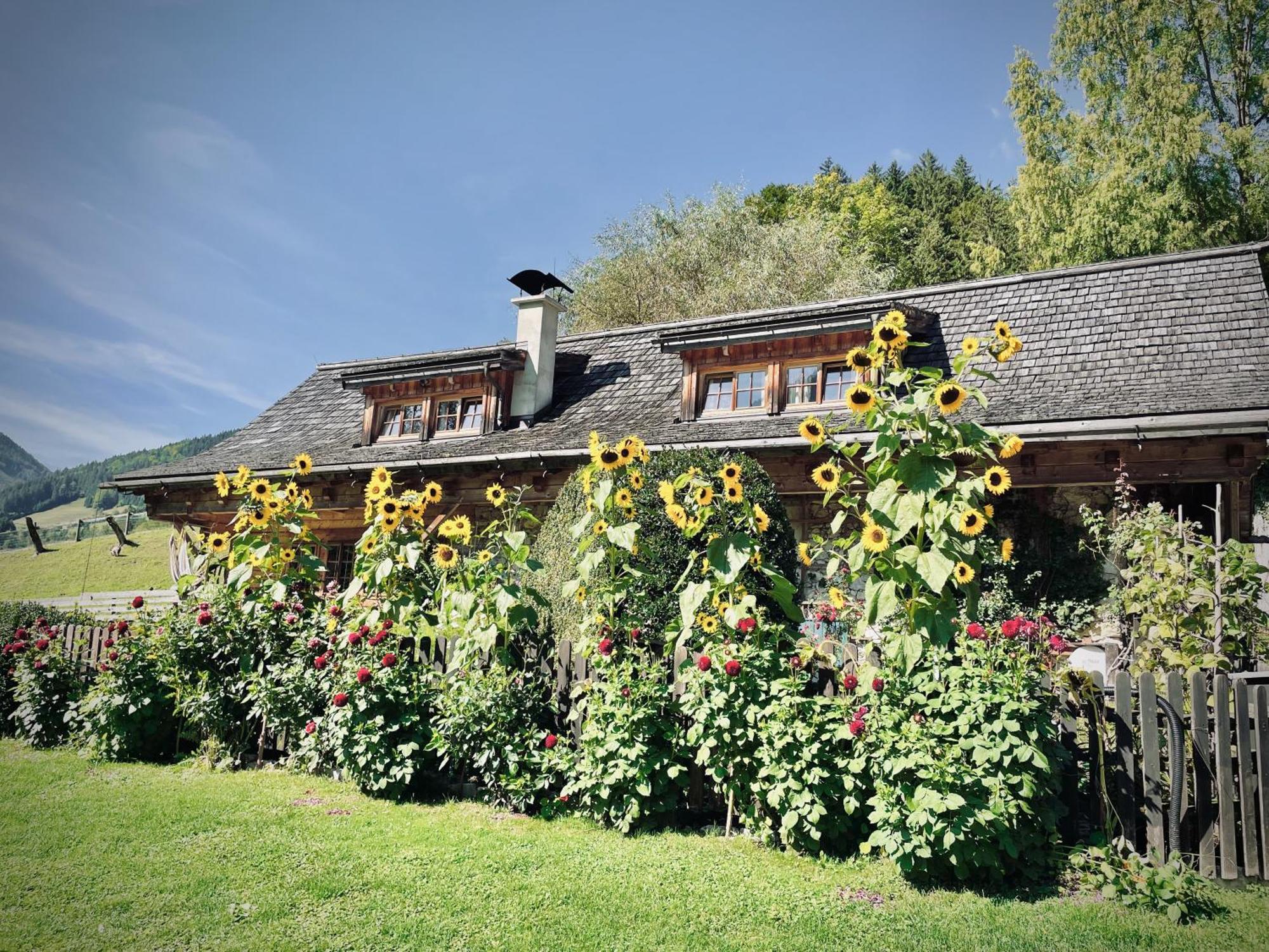 Rafting Camp Palfau Guest House Екстериор снимка